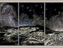 night triptych