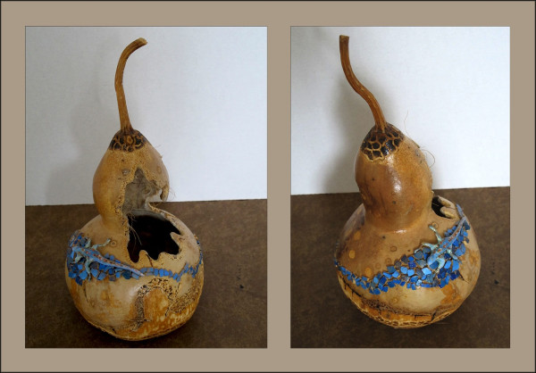 blue lizard gourd