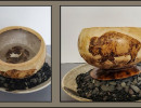 buffalo gourd an interior sculpture