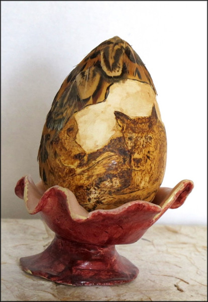 coyotes egg shape gourd