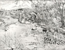 along the bank