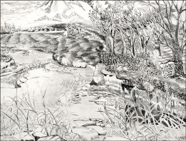 along the bank
