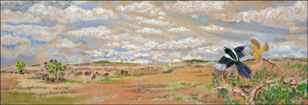 american prairie