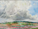 american prairie 7summer clouds