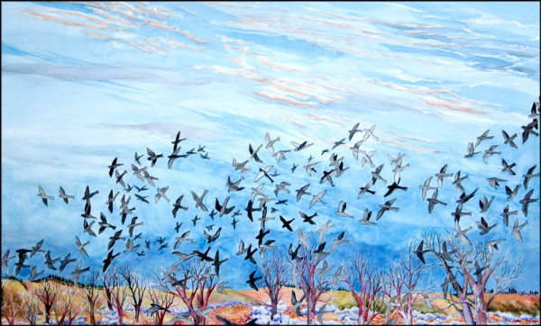 birds in flighti