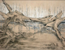 driftwood abstract