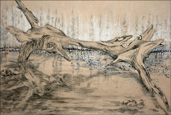 driftwood abstract