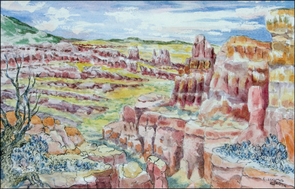 needles overlook
