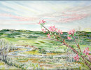 warm springs and apple blossoms