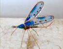 blue insect