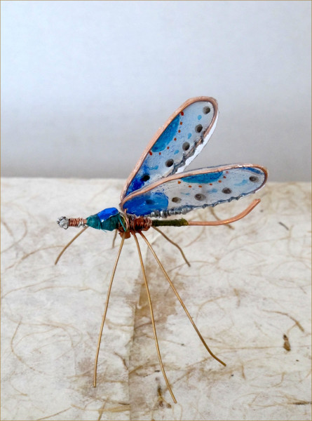blue insect