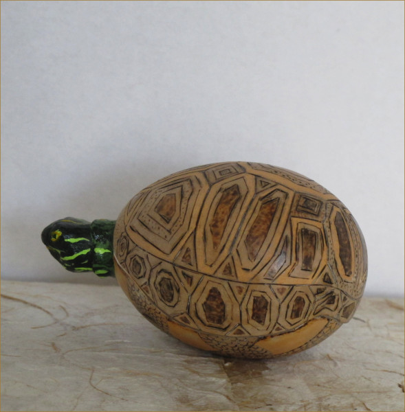 turtle gourd