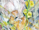 color of music gabriela and gladiolas