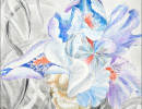 blue iris and graphite leaaves1