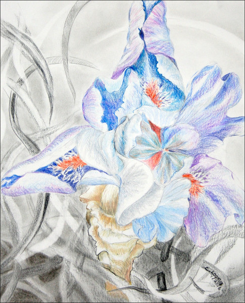 blue iris and graphite leaaves1