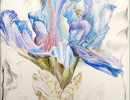 blue iris8