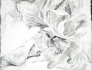 graphite iris13