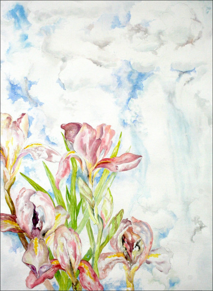 iris in the sky18