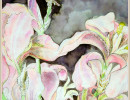 iris with dark background6