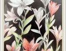 orange lilies5