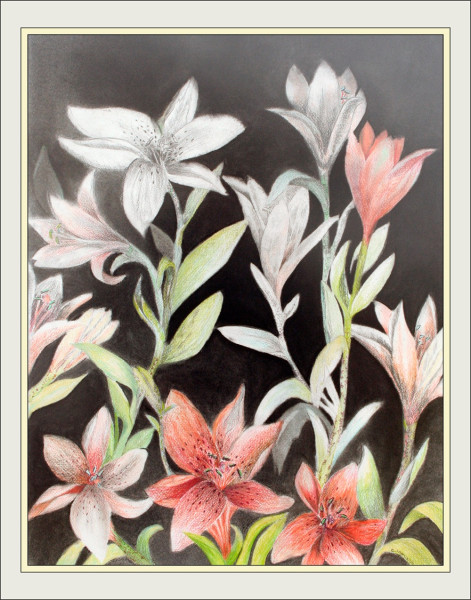 orange lilies5