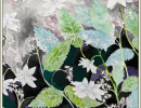 shooting star hydrangea7