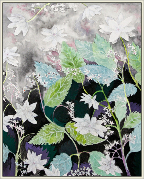 shooting star hydrangea7