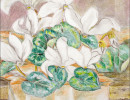 white cyclamen