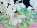 white cyclamen i19